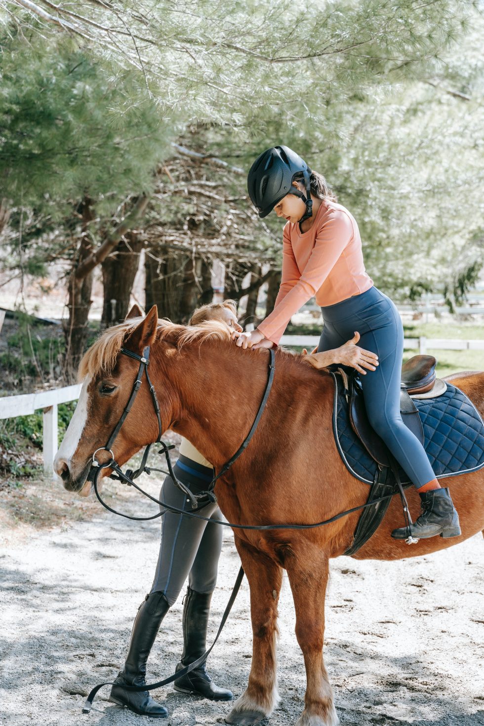 Horse Riding Lesson Pinterest A Step-by-Step Guide to Your First Horse Riding Lesson | Galloping Guides